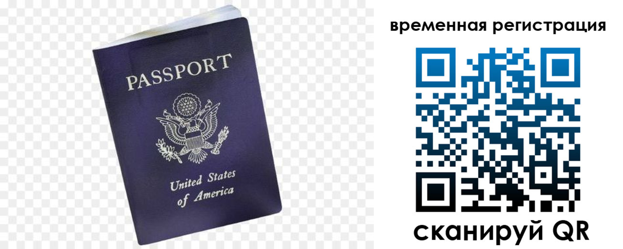 прописка в Жирновске